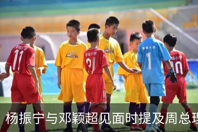 杨振宁与邓颖超见面时提及周总理：他已病重，为何不让他好好休息？