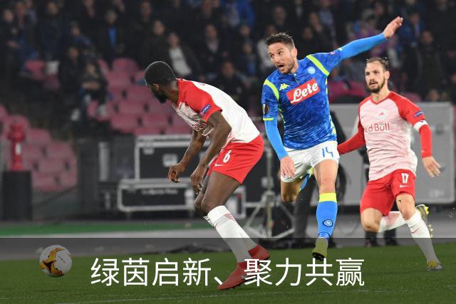 绿茵启新、聚力共赢