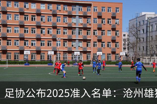 足协公布2025准入名单：沧州雄狮、广州队无缘